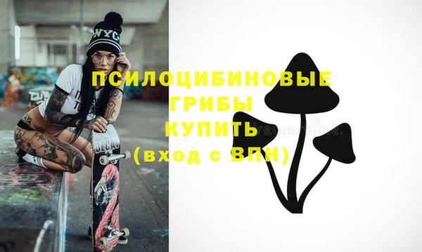 альфа пвп Куйбышев