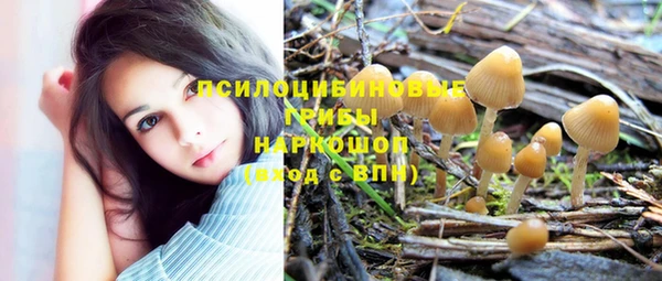 альфа пвп Куйбышев