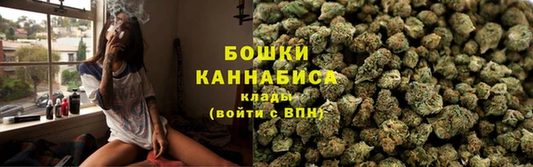 гидра Кулебаки